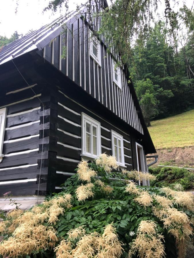 Roubenka Bratrouchov Jablonec nad Jizerou Exterior foto